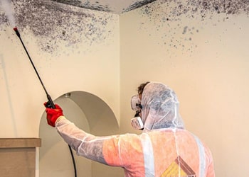 Anti-Mould Spraying & Prevention