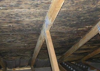 Bathroom & Ceiling Mould Treatment