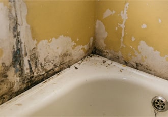 Bathroom Mould Treatment
