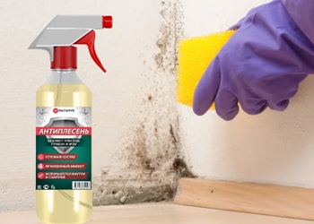 Black Mould Removal from Tiles & Grout