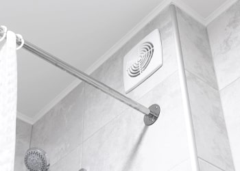 Ceiling & Wall Mould Treatment