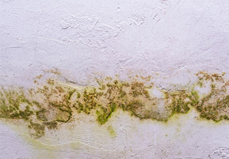 Condensation Control Solutions