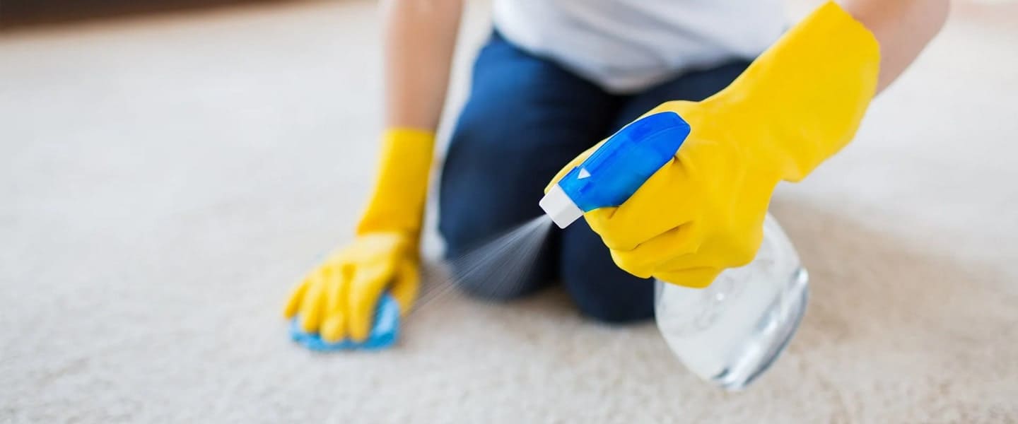 Deep Carpet Cleaning
