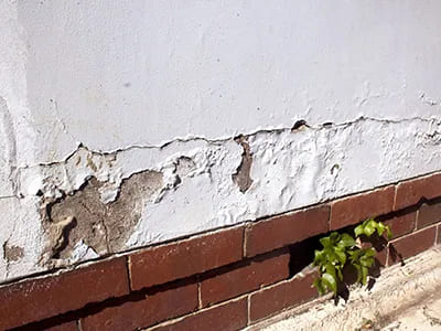 Exterior Damp Sealing