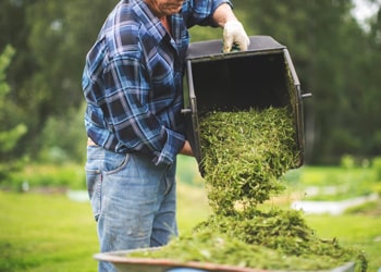 Garden Waste Removal