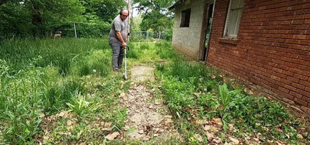 Green Waste Removal