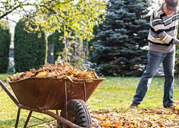 Gutter Clearing & Leaf Vacuuming