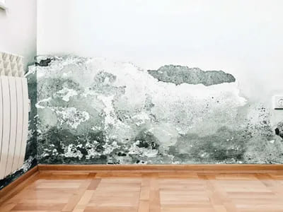 Interior Damp Wall Sealing