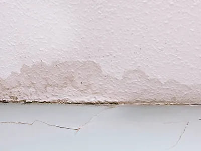 Interior Wall Damp Sealing
