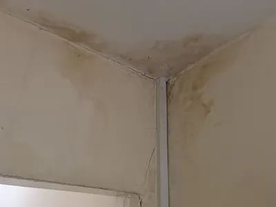 Internal Wall Damp Sealing