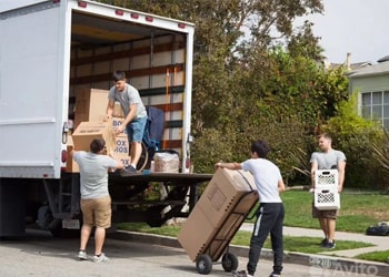 Last-Minute Packing & Moving