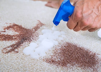Odor Neutralizing Treatment