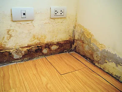Penetrating Damp Repairs
