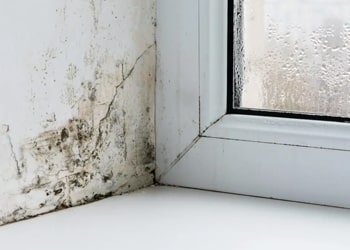 Persistent Condensation & Damp Solutions