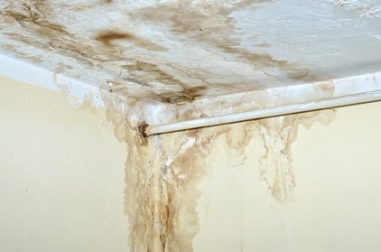 Post-Leak Mould Removal
