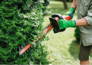 Pressure Washing Services