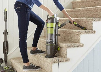 Rug & Stair Carpet Cleaning