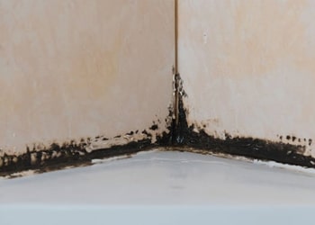 Shower Sealant & Silicone Mould Removal
