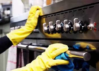 Standard Oven Deep Clean