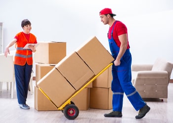 Student & Small Load Moves