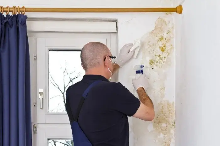 Surface & Airborne Mould Removal
