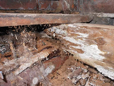 Wet Rot Treatment