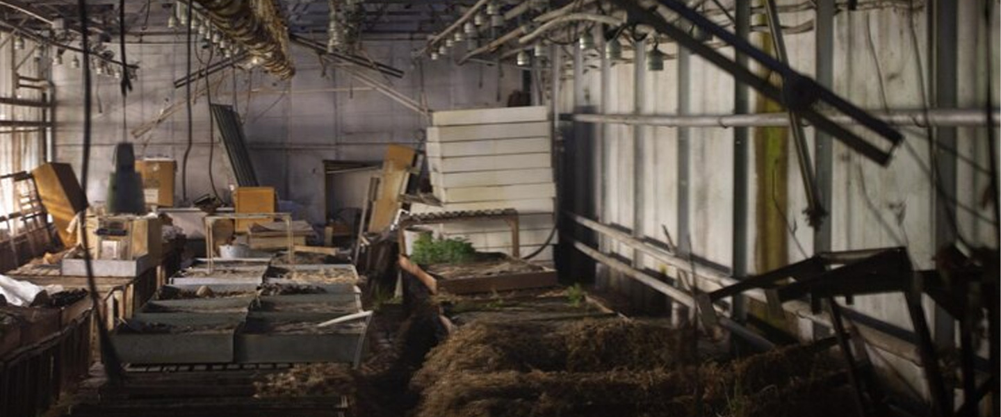 Wooden shed teardown
