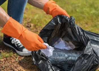 Animal Waste Cleanup