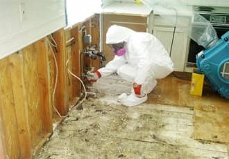 Anti-Fungal Spray Application