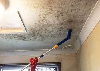 Anti-Microbial Surface Protection