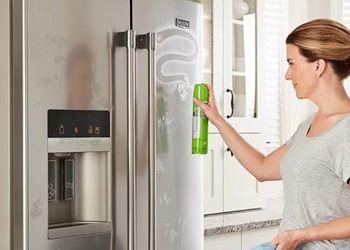 Appliance & Surface Polish