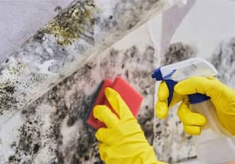 Attic and loft mould cleaning