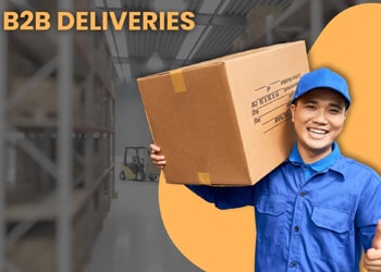 B2B & E-commerce Courier Services