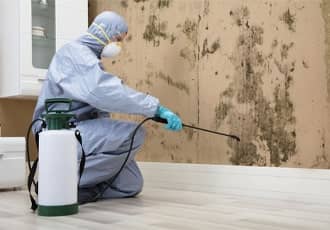 Basement mould removal service