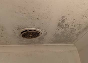 Bathroom & Ceiling Mould Treatment