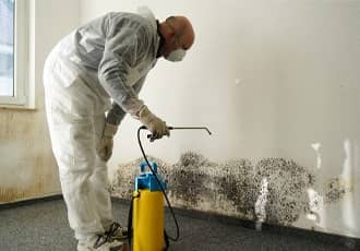 Bathroom & Kitchen Mould Removal