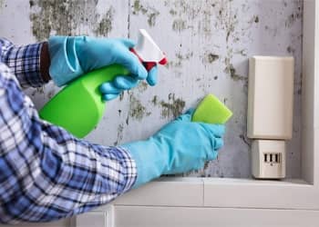 Bathroom mould removal service