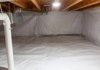 Bathroom Mould Removal