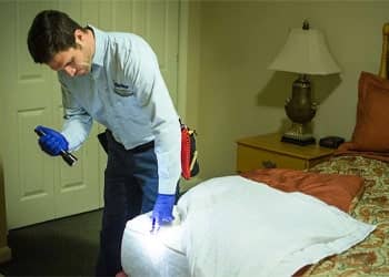 Bed Bug Inspection Services
