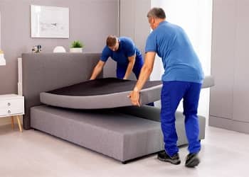 Bed Bug Mattress Treatments