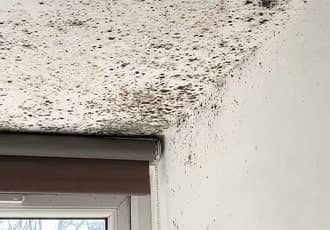 Bedroom ceiling mould removal