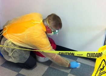 Biohazard Vomit Removal