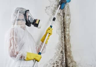 Black mould ceiling treatment