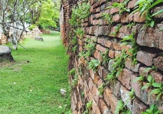 Brick Garden Walls