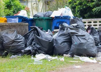 Bulk Waste Removal