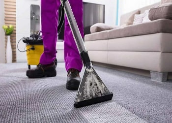 Carpet Deodorizing and Sanitizing