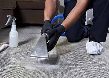 Carpet & Rug Cleaning for Commercial Spaces