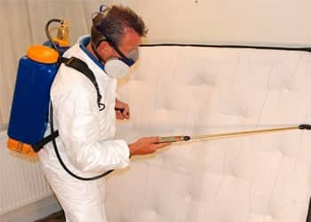 Chemical Bed Bug Extermination