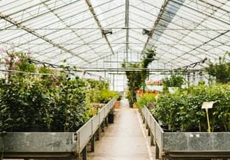 Commercial Greenhouses
