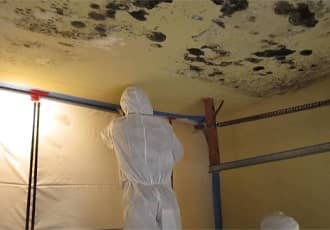 Commercial Mould Treatment